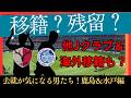 【鹿島&水戸】移籍か残留か!出番がなく…活躍して…などなど去就が気になる男たち!【J移籍】
