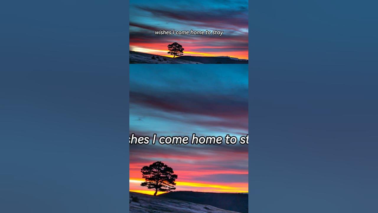 Zach Top - South of Sanity #countrymusic #lyrics #music