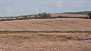 Crop Circle Avebury 07-08-09