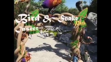 Theme Park Design & Execution