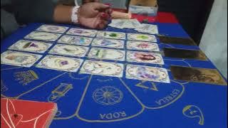 6798301291 WHATSAPP TERÇA FEIRA DA PESSOA AMADA 