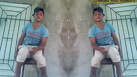 los gemelos