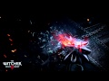 The Witcher 3 Wild Hunt GameRip Soundtrack - Skellige All Exploration Tracks