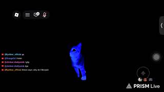 New livestreaming app test!
