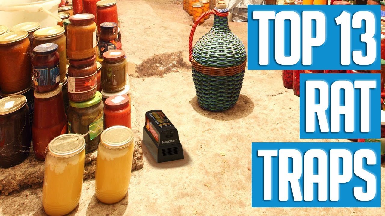 13 Best Rat Traps 2017 YouTube