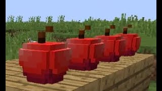 Placing Items in Minecraft | Placeable Items Mod Showcase