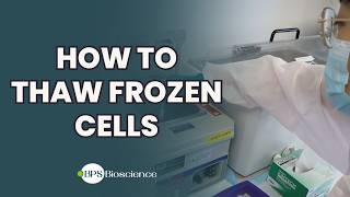 How To Thaw Frozen Cells in the Lab