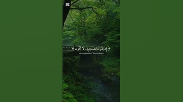 رسالة من الله لك اليوم 🎧😌 #quran #آيات #quran #تلاوة #قرآن #الخشوع #القرآن_الكريم #عباد_الرحمن