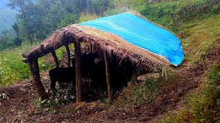 simple the Best peaceful And relaxing Himalayan village life || Daily activities of people village
