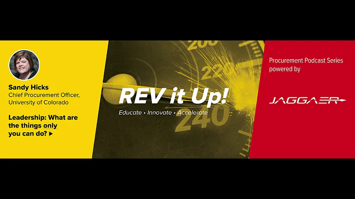 REV2018 Sandy Hicks Podcast