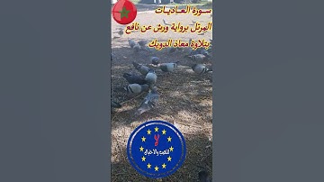 ســـــورة الـعـــــاديـــــات المرتل برواية ورش عن نافع بتلاوة معاذ الدويك