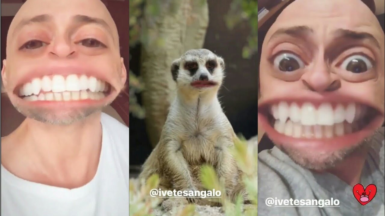 PAULO GUSTAVO E SUAS CARAS E BOCAS + CADÊ IVETE?!