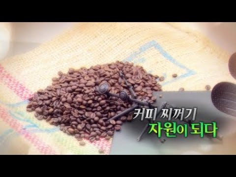 커피 찌꺼기, 자원이 되다 / YTN 사이언스