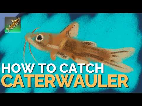 How to catch Caterwauler in FFXIV