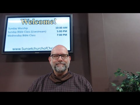 Video preview