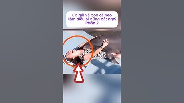 [P.2] Cô gái và con cá heo làm điều ai cũng bất ngờ #shorts