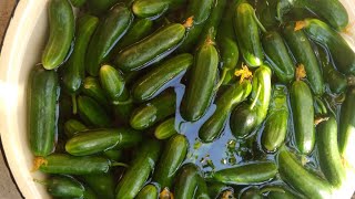 🥒Бодринг тузлашнинг энг осон ва камхарж йули 💯💥👍👍🥒шакарсиз!!! 🧄