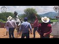 El Cadete Vs El Pelicano | Carril La Tira, Durango Mex.