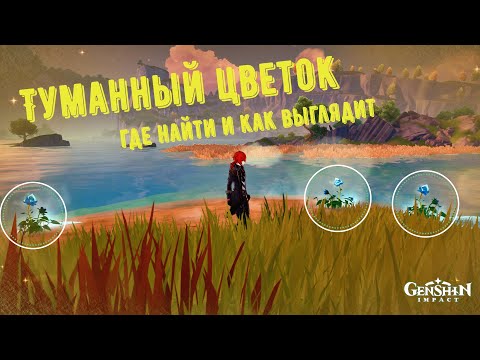 Туманный цветок genshin impact где найти и как он выглядит