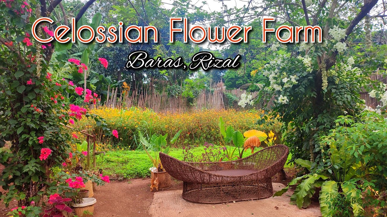 Flower Farm In Tanay Rizal Home Alqu