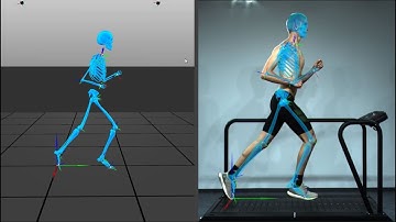 3D markerless tracking: Running // CONTEMPLAS MULTI CAMERA SYSTEM®