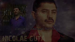 Nicolae Guta - Muzica e buna
