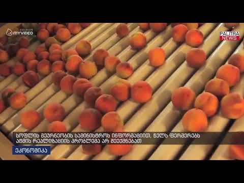 სოფლის მეურნეობის სამინისტროს ინფორმაციით, წელს ფერმერებს ატმის რეალიზაციის პრობლემა არ შეექმნებათ