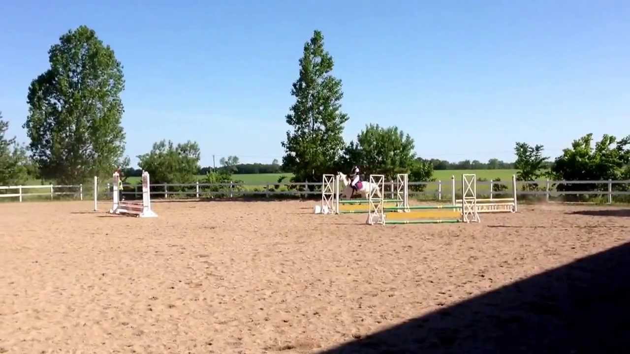 Ballyhugh Lad och Rebecca Lexander Viarp 6/6-13