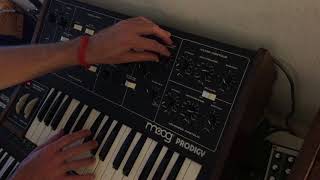 Moog Prodigy Sound Demo 2