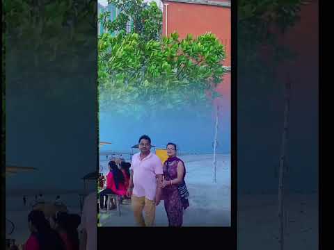 #fecebook #instragram #youtube #shortvideo #flowers #kolkata