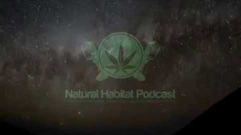 The Rise and Fall of Pablo Escobar