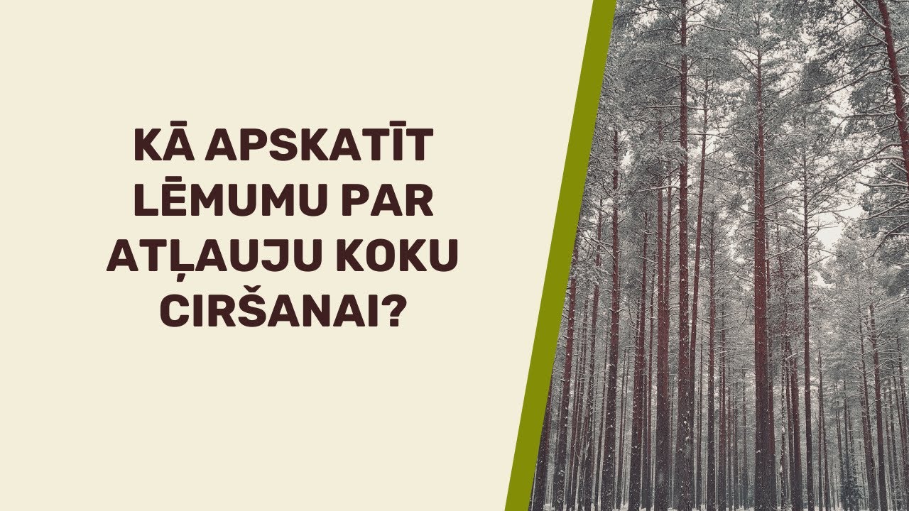 Kā apskatīt lēmumu par atļauju koku ciršanai