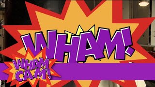 Wham Cam: How Much the Average Person Sweats Per Day?