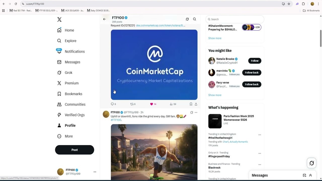 BABY DOWGE UPDATE NICE!! , MY PROJECT FTF100 CMC SUBMITTED , CAREFUL OF FAKES. AND MORE.