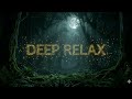 Deep Relax 2026 🌙 30 MIN Deep Sleep | Mystical Night Forest Ambient