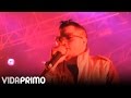 Jowell y Randy @ Yellow Pass (2011) [Live]