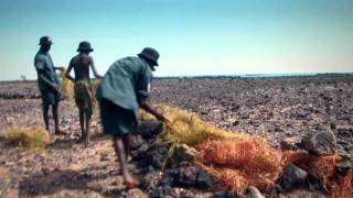 Crocodile Islands Ranger Program