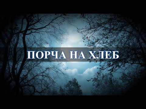 Наведите в хлебо-булочной лавке маленький шухер и придайте огласке черную ведьму.