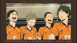 Rex Orange County - Pluto Projector // orchestra only // 1h loop