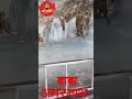 #barfanibaba#Om namah Shivaya#Mahadev#amarnath #