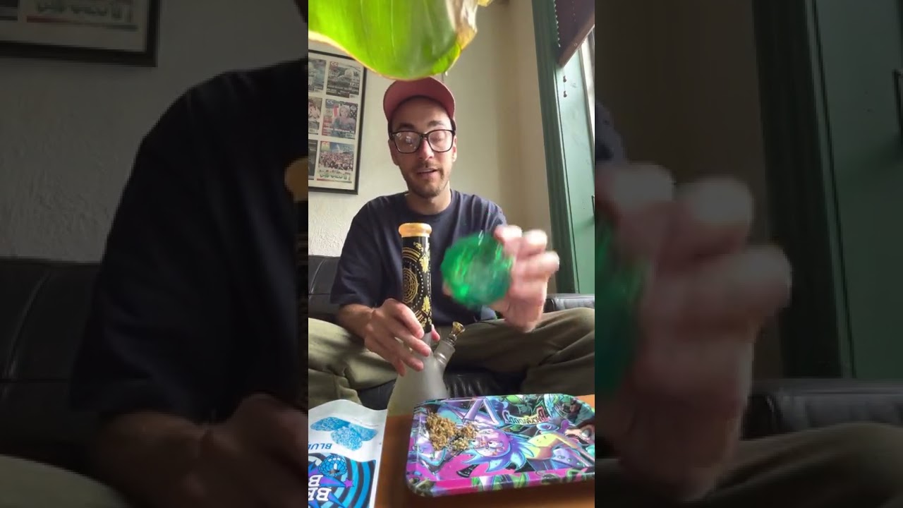 Cannabis culture cafe review