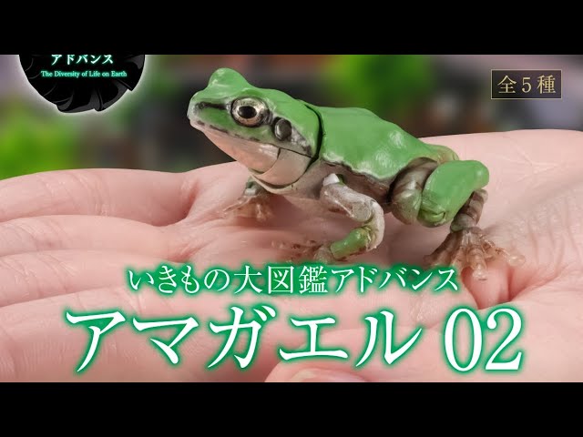 アマガエル02』いきもの大図鑑アドバンス コンプリート開封動画