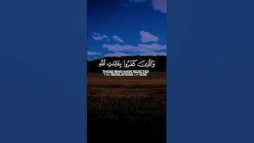 قرآن القارئ _ سعد أزويت • من سورة الزمر#قرآن #اكسبلور #المصحف #إستمع #لايك