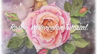 How to Paint a Rose With Water Droplets | Step-by-step Watercolor Tutorial screenshot 5
