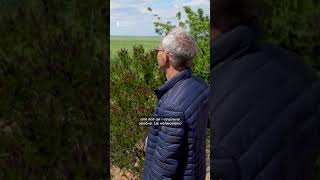 Экологи показывают и рассказывают, во что превратилось дно Каховского водохранилища