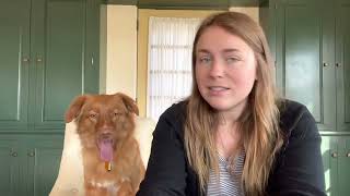 What I Feed My Dog in a Day - Toller Retriever Edition by A Duck Toller Named Sable 976 views 1 year ago 8 minutes, 35 seconds