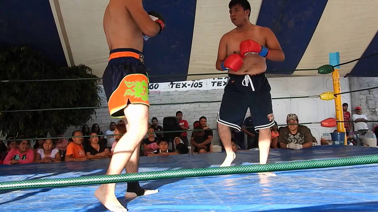Instituto Romano de artes marciales mixtas 