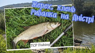 Що клює на Дністрі? Потужна покльовка жереха. Секретна блешня зробила рибалку! #дністер #жерех