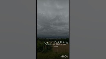سورة الحجرات|محمد اللحيدان