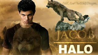 Jacob Black Tribute - Halo
